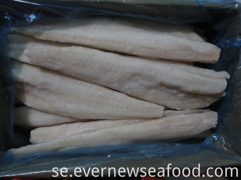 FAO 67 alaska pollock fisk fryst alaska pollock filé